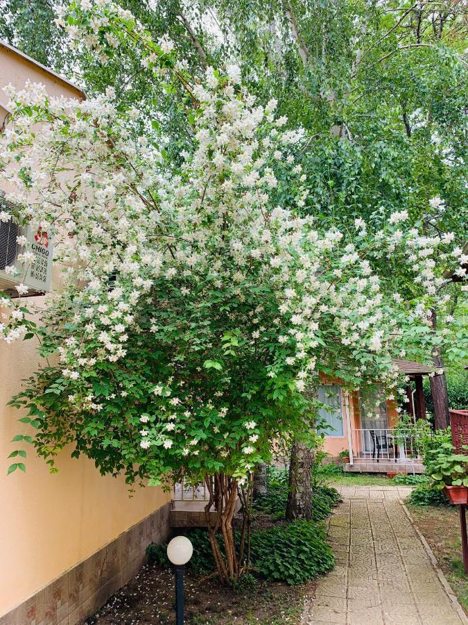 Holiday Village Interpark Кранево Экстерьер фото